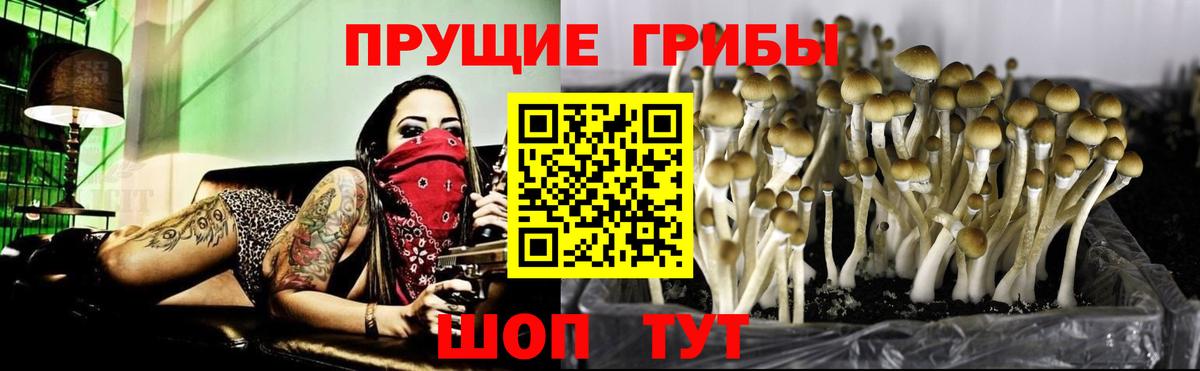 Новотроицк  Галлюциногенные грибы ЛСД  Вход с VPN 
