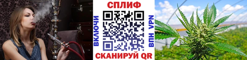 где можно купить   Новотроицк  Марихуана VHQ 